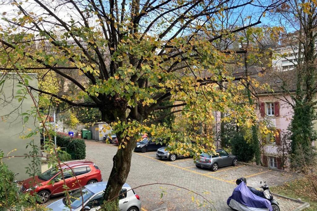 לוזאן Parking & Appartement 2 Pieces Sans Traffic מראה חיצוני תמונה